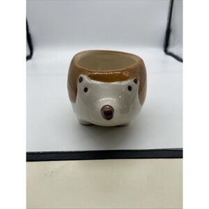 Ceramic Hedgehog Succulent Planter Pot Brown Cream Animal Shape Drainage Hole